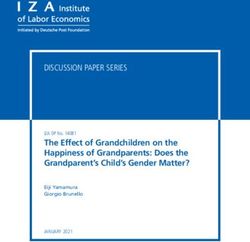 The Effect of Grandchildren on the Happiness of Grandparents: Does the Grandparent's Child's Gender Matter? - IZA DP No. 14081 JANUARY 2021
