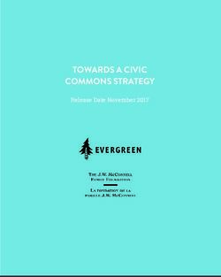 TOWARDS A CIVIC COMMONS STRATEGY - Release Date November 2017 - Evergreen