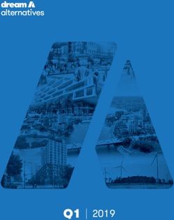 Q1 2019 - Dream Unlimited