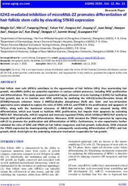 EZH2-mediated inhibition of microRNA-22 promotes differentiation of hair follicle stem cells by elevating STK40 expression - AWS