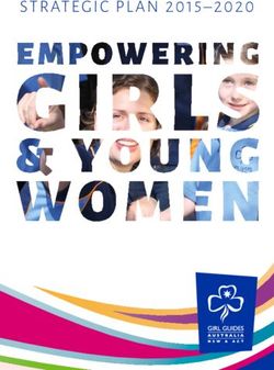 STRATEGIC PL AN 2015-2020 - Girl Guides NSW, ACT & NT