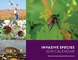INVASIVE SPECIES 2019 CALENDAR - Minnesota Invasive Species Advisory Council - Minnesota DNR