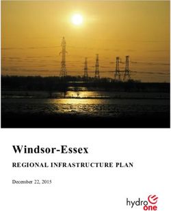 Windsor-Essex REGIONAL INFRASTRUCTURE PLAN December 22, 2015 - Hydro One