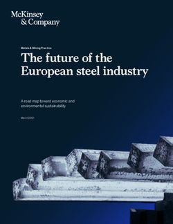 THE FUTURE OF THE EUROPEAN STEEL INDUSTRY - A ROAD MAP TOWARD ECONOMIC AND ENVIRONMENTAL SUSTAINABILITY - MCKINSEY