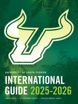 UNIVERSITY OF SOUTH FLORIDA INTERNATIONAL GUIDE 2025-2026