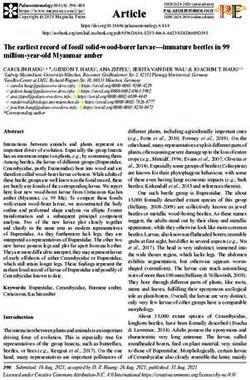 The earliest record of fossil solid-wood-borer larvae-immature beetles in 99 million-year-old Myanmar amber
