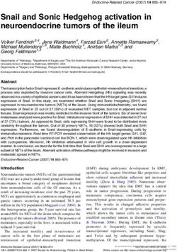 Snail and Sonic Hedgehog activation in neuroendocrine tumors of the ileum