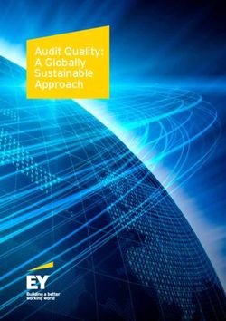 Audit Quality: A Globally Sustainable Approach - EY