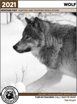 2021 WOLF - montana fwp hunting and trapping regulations