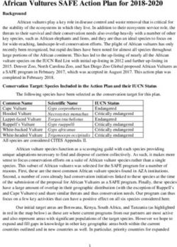 African Vultures SAFE Action Plan for 2018-2020
