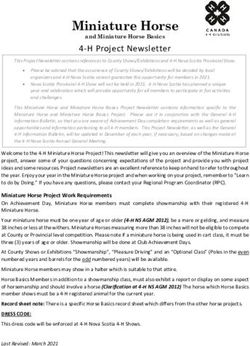 Miniature Horse - 4-H Nova Scotia