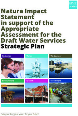 Natura Impact Statement in support of the Appropriate Assessment for the Draft Water Services Strategic Plan - Safeguarding your water for your future