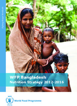 WFP Bangladesh Nutrition Strategy 2012-2016