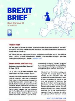 BREXIT BRIEF - The Institute of International and European Affairs