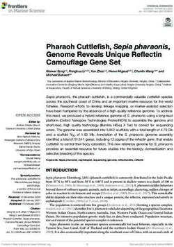 Pharaoh Cuttlefish, Sepia pharaonis, Genome Reveals Unique Reflectin Camouflage Gene Set