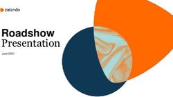 Roadshow Presentation - Zalando Corporate