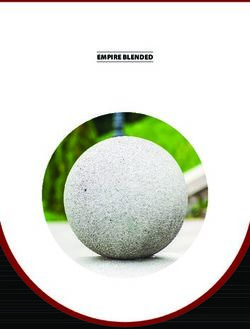 EMPIRE BLENDED - Empire Blended Products, Inc.