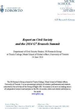 Report on Civil Society and the 2014 G7 Brussels Summit