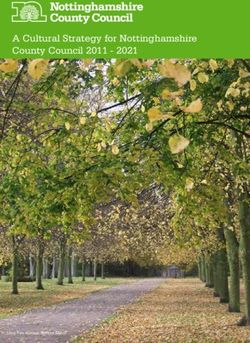 A Cultural Strategy for Nottinghamshire County Council 2011 2021