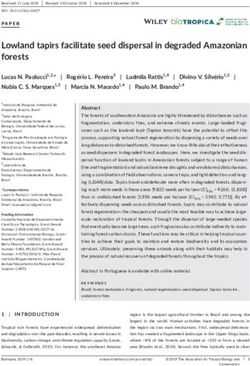 Lowland tapirs facilitate seed dispersal in degraded Amazonian forests - Ipam