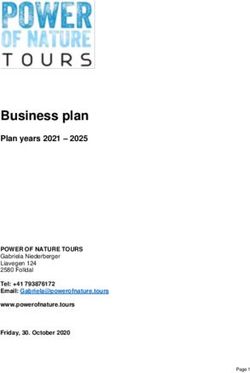Business plan Plan years 2021 2025 - Hoststar