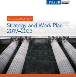 Strategy and Work Plan 2019-2023 - Strategy and Work PlanTM - IFAC