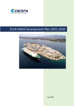 Draft NNGS Development Plan 2021-2030 - July 2020