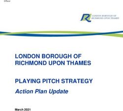 LONDON BOROUGH OF RICHMOND UPON THAMES PLAYING PITCH STRATEGY - Action Plan Update - London Borough of Richmond upon ...