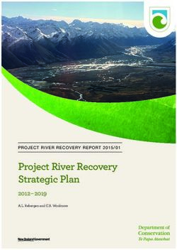 PROJECT RIVER RECOVERY STRATEGIC PLAN 2012 - 2019 PROJECT RIVER ...