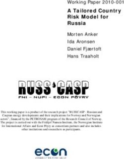 A Tailored Country Risk Model for Russia