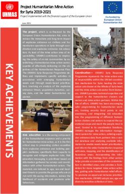 Project Humanitarian Mine Action for Syria 2019-2021 - UNMAS