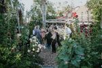 Ceremonies Adelaide Pop-Up Weddings