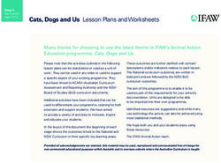 Cats, Dogs and Us Lesson Plans and Worksheets