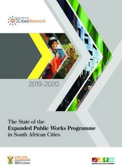 The State of the Expanded Public Works Programme in South African Cities 2019-2020 - SA Cities