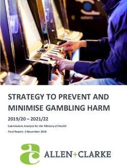 STRATEGY TO PREVENT AND MINIMISE GAMBLING HARM 2019/20 - 2021/22 Submissions Analysis for the Ministry of Health - Ministry of Health NZ