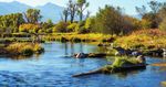 Formed by ancient crustacean and mollusk fossils, limestone produces some of Montana's most productive trout waters - Montana FWP