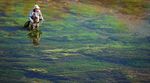 Formed by ancient crustacean and mollusk fossils, limestone produces some of Montana's most productive trout waters - Montana FWP