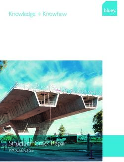 Structural Crack Repair - PROCEDURES - Knowledge + Knowhow - Bluey Technologies