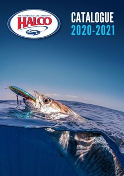 CATALOGUE 2020-2021 - Halco Tackle
