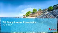 TUI Group Investor Presentation - March 2019