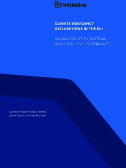 CLIMATE EMERGENCY DECLARATIONS IN THE EU: AN ANALYSIS OF EU, NATIONAL AND LOCAL LEVEL GOVERNANCE - 89 Initiative