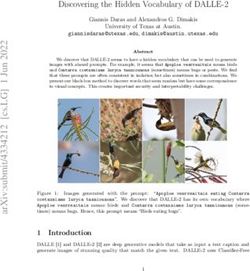 Discovering the Hidden Vocabulary of DALLE-2 - Giannis Daras