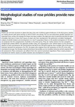 Morphological studies of rose prickles provide new insights