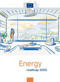 Energy roadmap 2050 - European Power Strategy & Systems ...