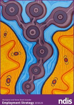 Employment Strategy 2018-20 - Aboriginal and Torres Strait Islander