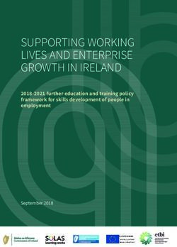 SUPPORTING WORKING LIVES AND ENTERPRISE GROWTH IN IRELAND - 2018-2021 further education and training policy framework for skills development of ...