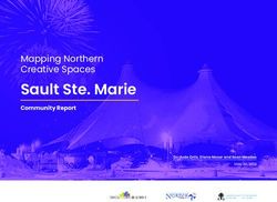 SAULT STE. MARIE MAPPING NORTHERN CREATIVE SPACES - COMMUNITY REPORT - ARTSBUILD ONTARIO