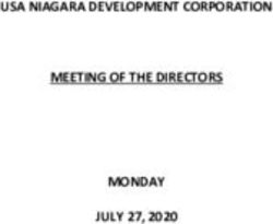 USA NIAGARA DEVELOPMENT CORPORATION MEETING OF THE DIRECTORS MONDAY JULY 27, 2020