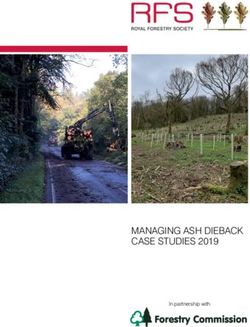 Managing ash dieback case studies 2019 - in partnership with - the Royal Forestry ...