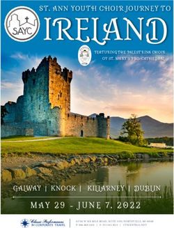 IRELAND - Corporate Travel Service